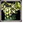 Priest Chitin Shell (HP) SET
