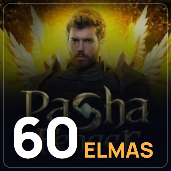 Pasha Fencer 60 Elmas görseli