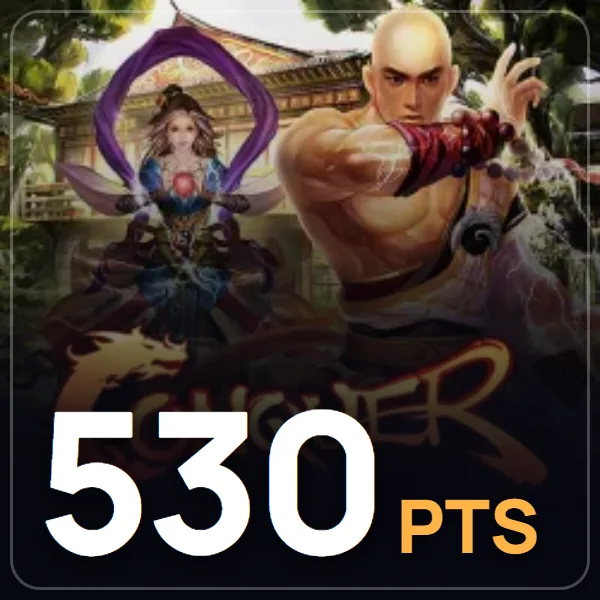 Conquer Online 530 Point görseli