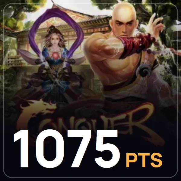 Conquer Online 1075 Point görseli