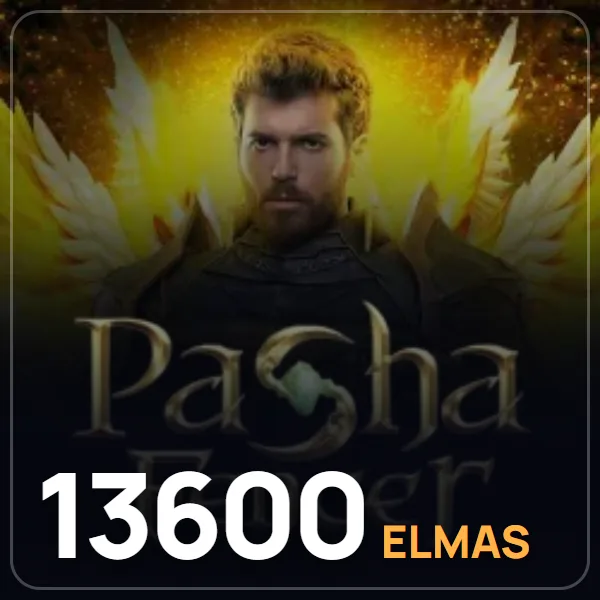 Pasha Fencer 13600 Elmas görseli