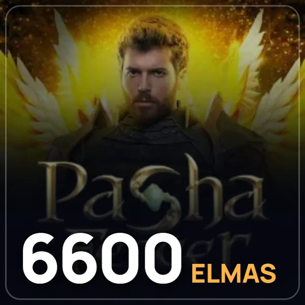 Pasha Fencer 6600 Elmas görseli